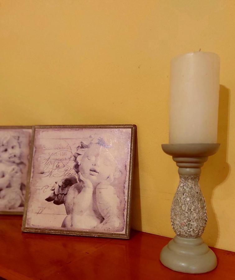Apartman Nikos Zadar Dış mekan fotoğraf